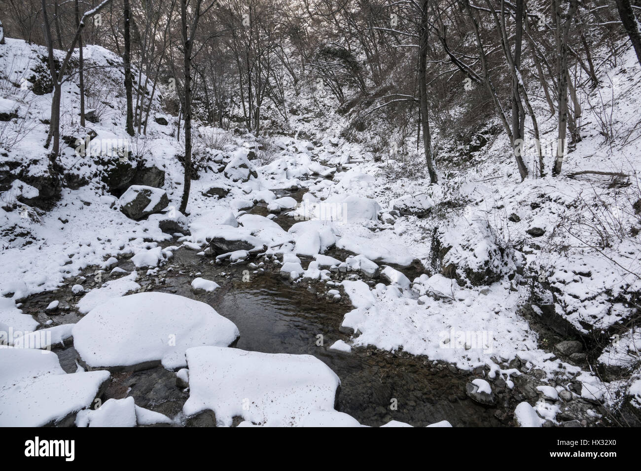 River and mountain snowy landscape with rocks and vegetation in winter ...