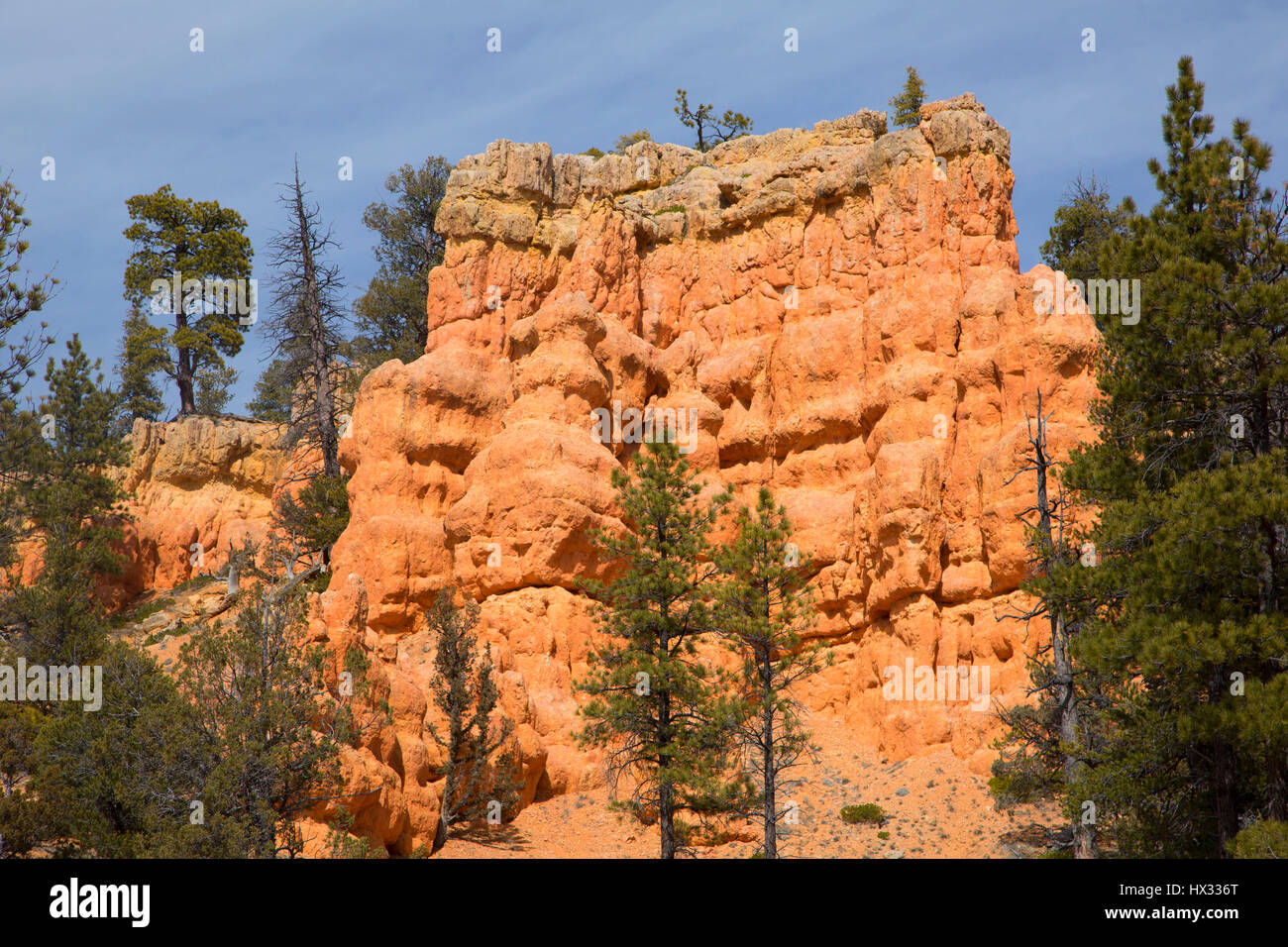 Cabin Hollow ridge in Red Canyon, Dixie National Forest, Highway 12
