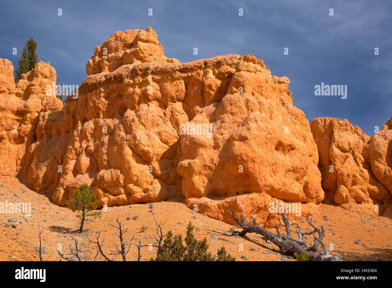 Cabin Hollow ridge in Red Canyon, Dixie National Forest, Highway 12