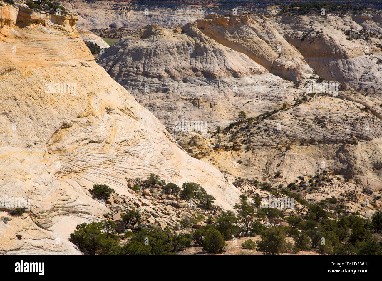 Calf Creek Canyon, Highway 12 National Scenic Byway, Grand Staircase - Escalante National Monument, Utah Stock Photo