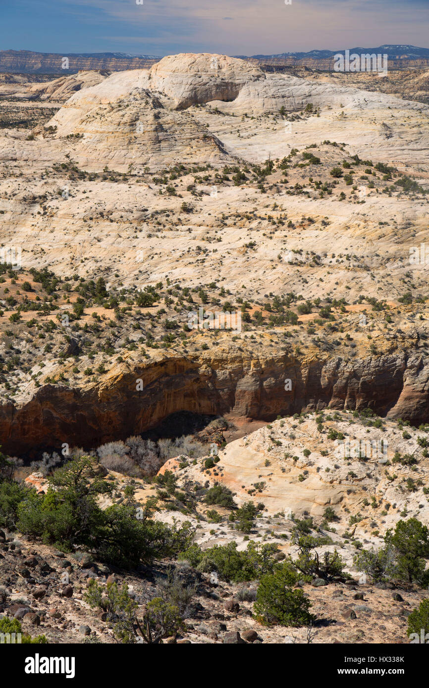 Calf Creek Canyon, Highway 12 National Scenic Byway, Grand Staircase - Escalante National Monument, Utah Stock Photo