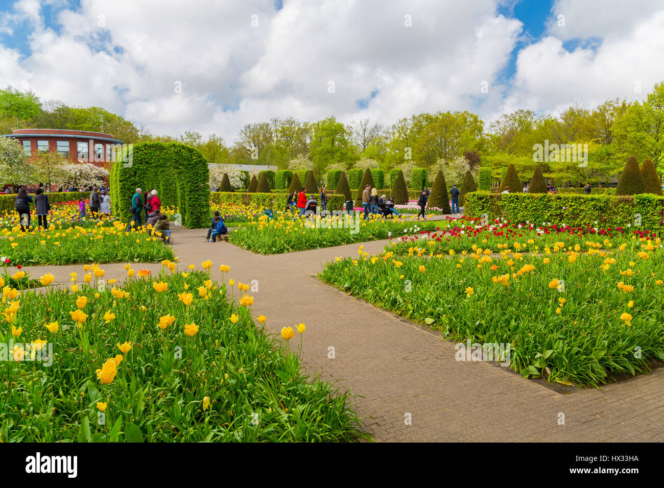 Colorful tulips in the Keukenhof garden, Holland Stock Photo - Alamy