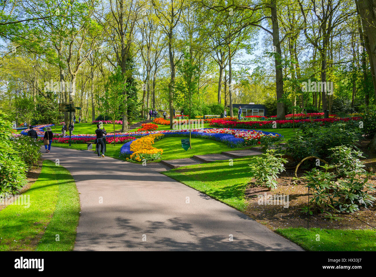 Lisse, Netherlands May 7, 2016 Flower bed of colourful tulips in