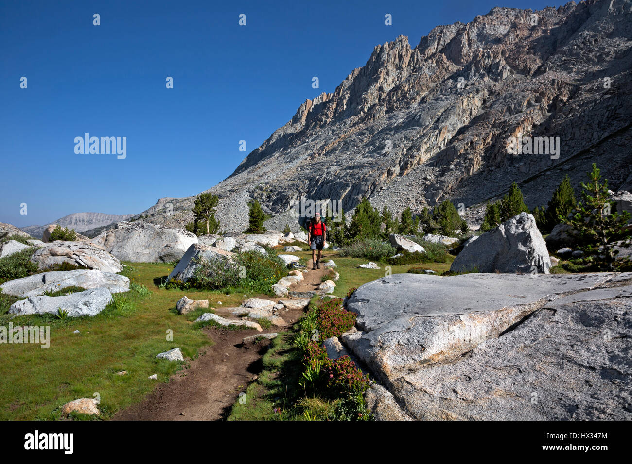 CA03118-00...CALIFORNIA - Backpacker above Evolution Lake in the combined JMT/PCT in Kings Canyon National Park. Stock Photo
