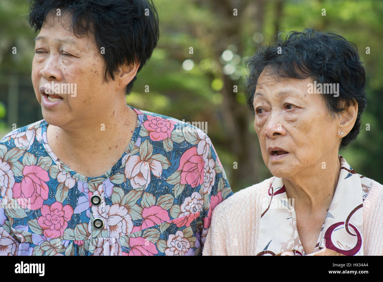Candid shot of Asian elderly women chatting at outdoor park in the ...