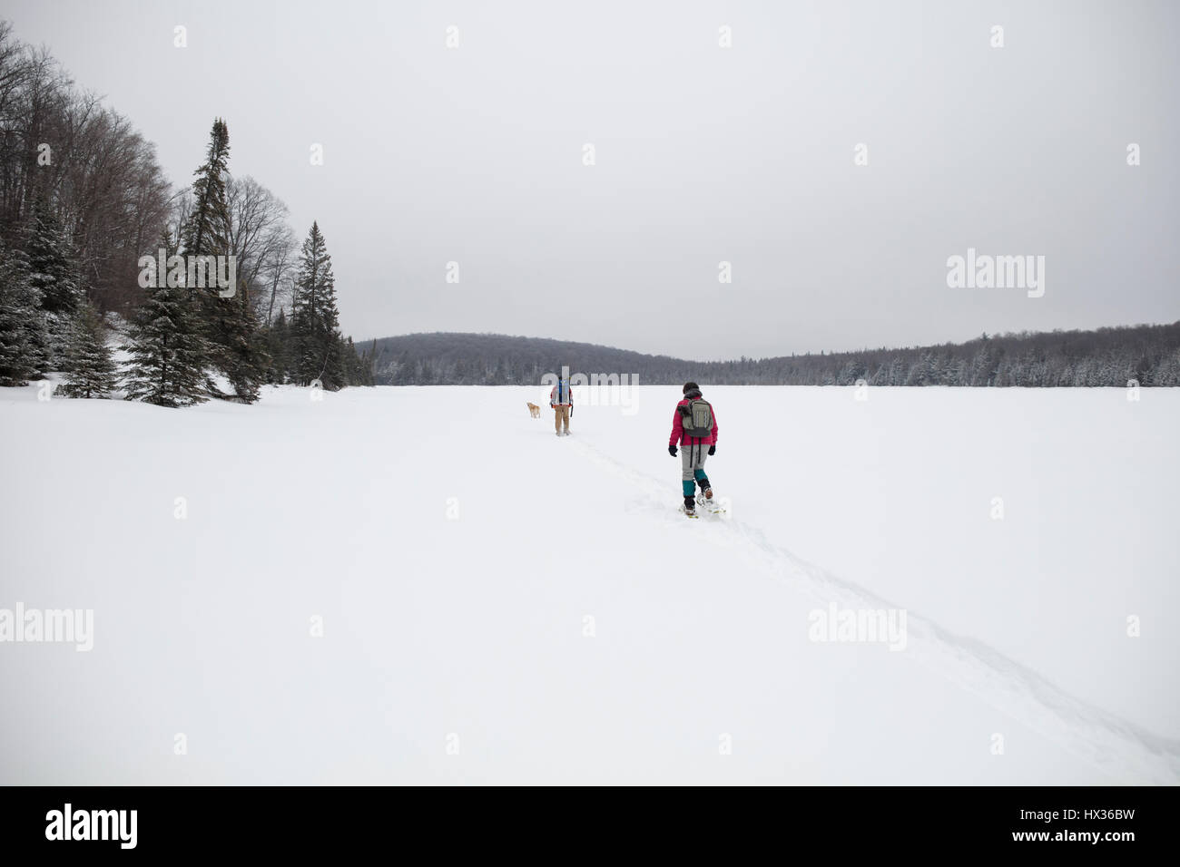 Canada february 11 hires stock photography and images Alamy