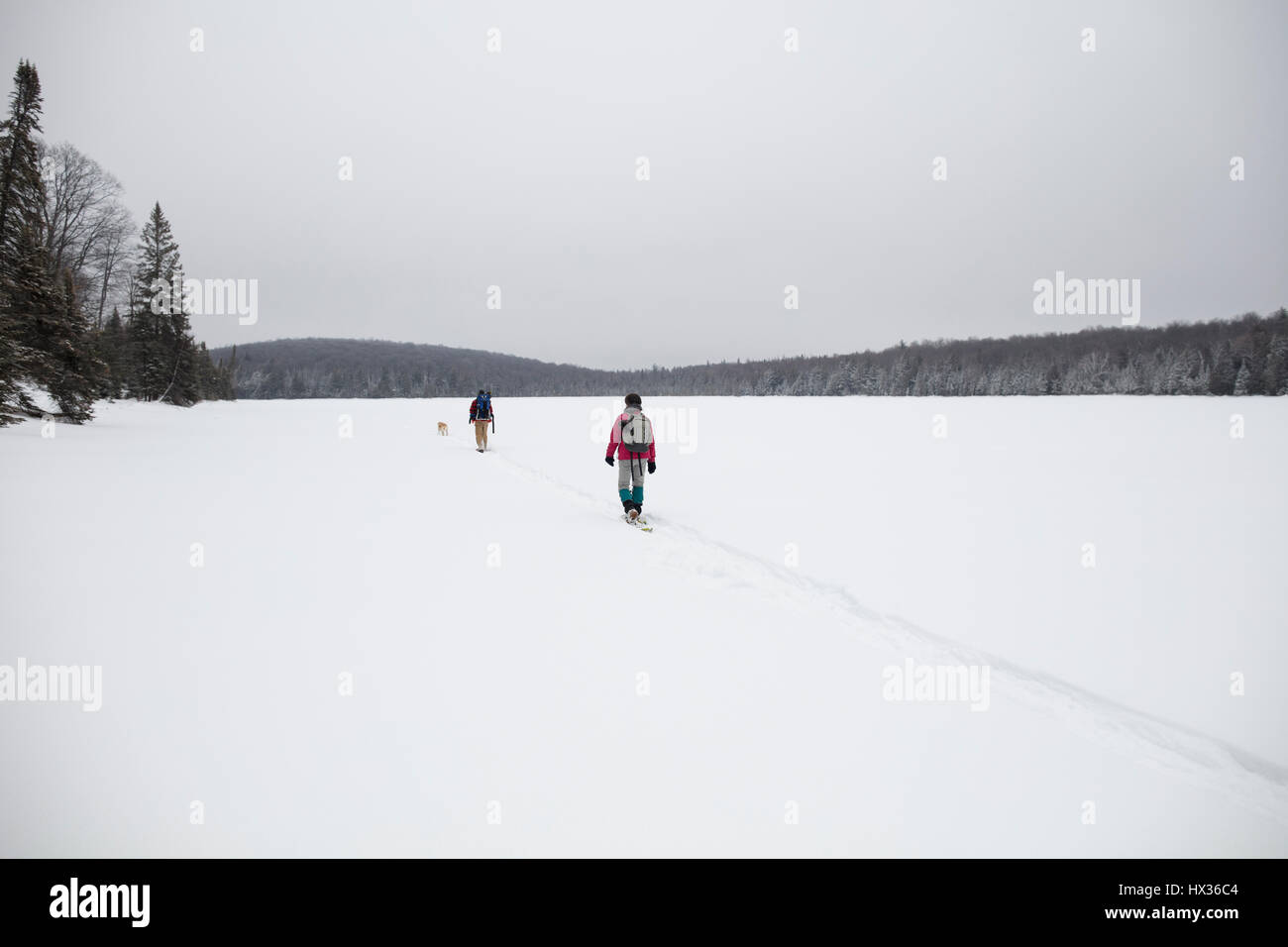 Canada february 11 hires stock photography and images Alamy