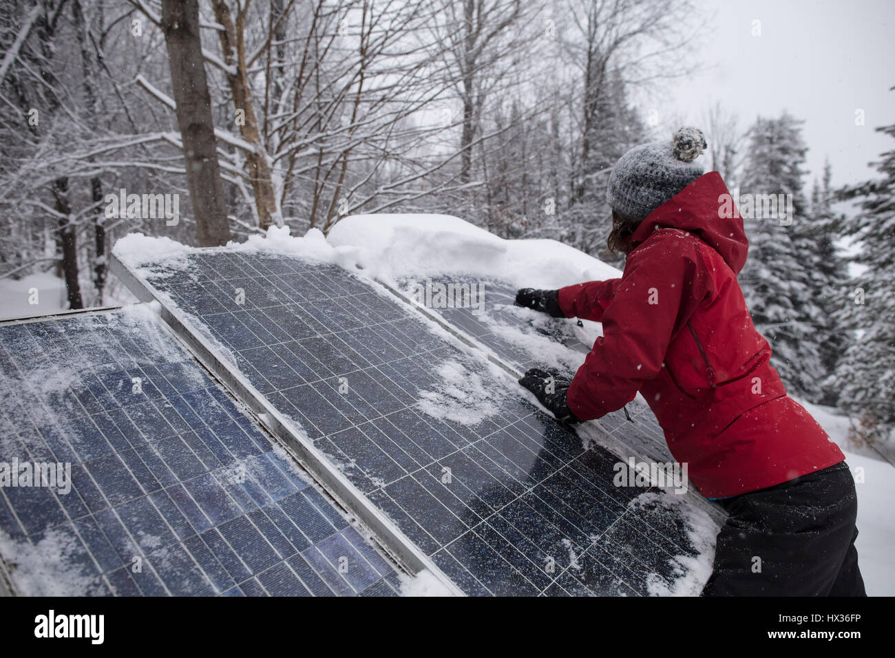 A lady in a red jacket clears snow off the solar panels after a snowstorm in Hastings Highlands, Ontario, Canada. Stock Photo