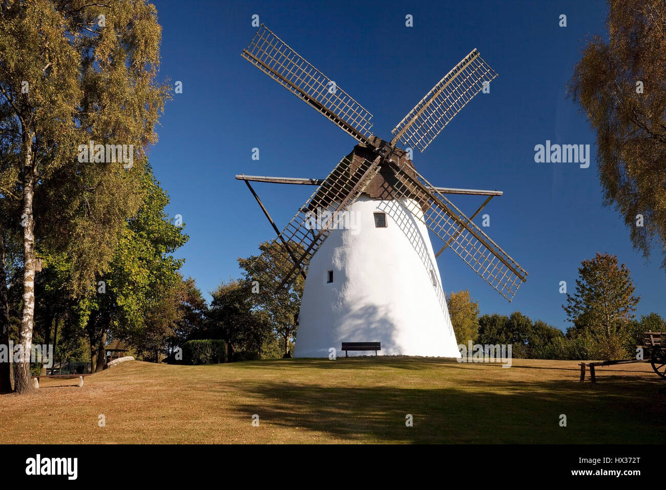 Windmill, Reken, Münsterland, North Rhine-Westphalia, Germany Stock Photo