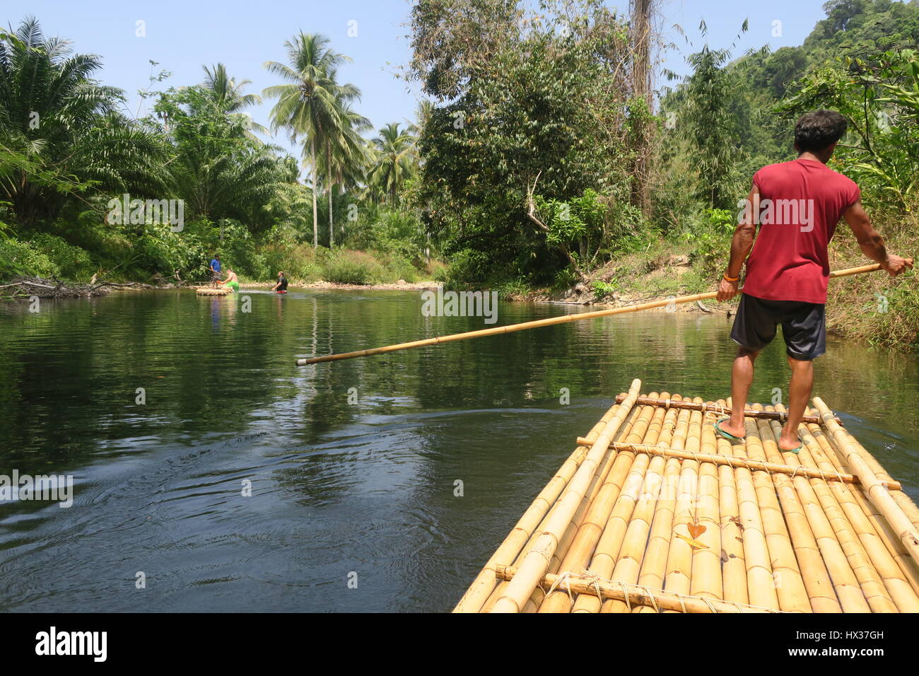 Man, standing on bamboo raft, with bamboo stick in his hand is floating ...