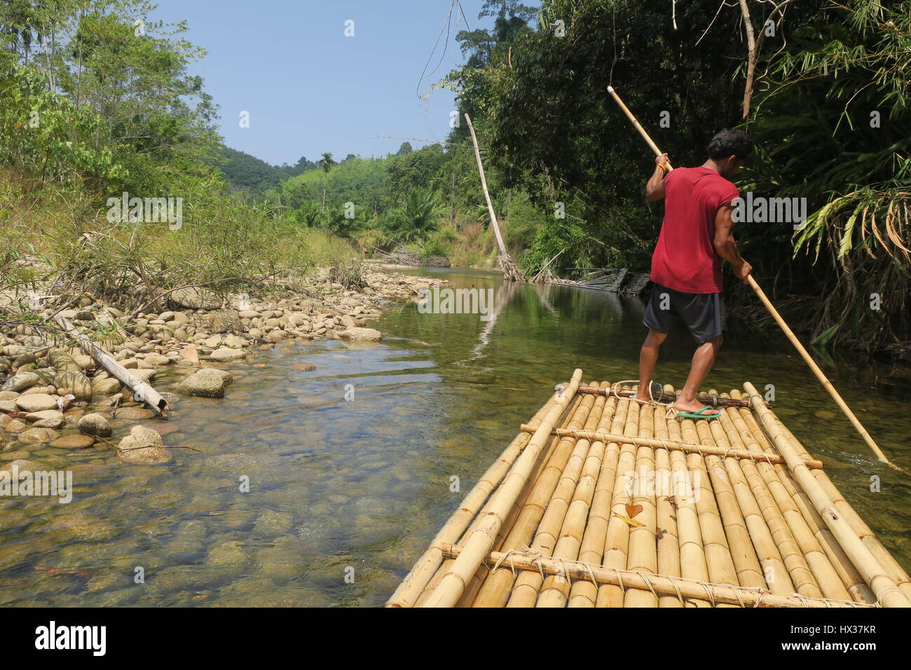 Man, standing on bamboo raft, with bamboo stick in his hand is floating ...