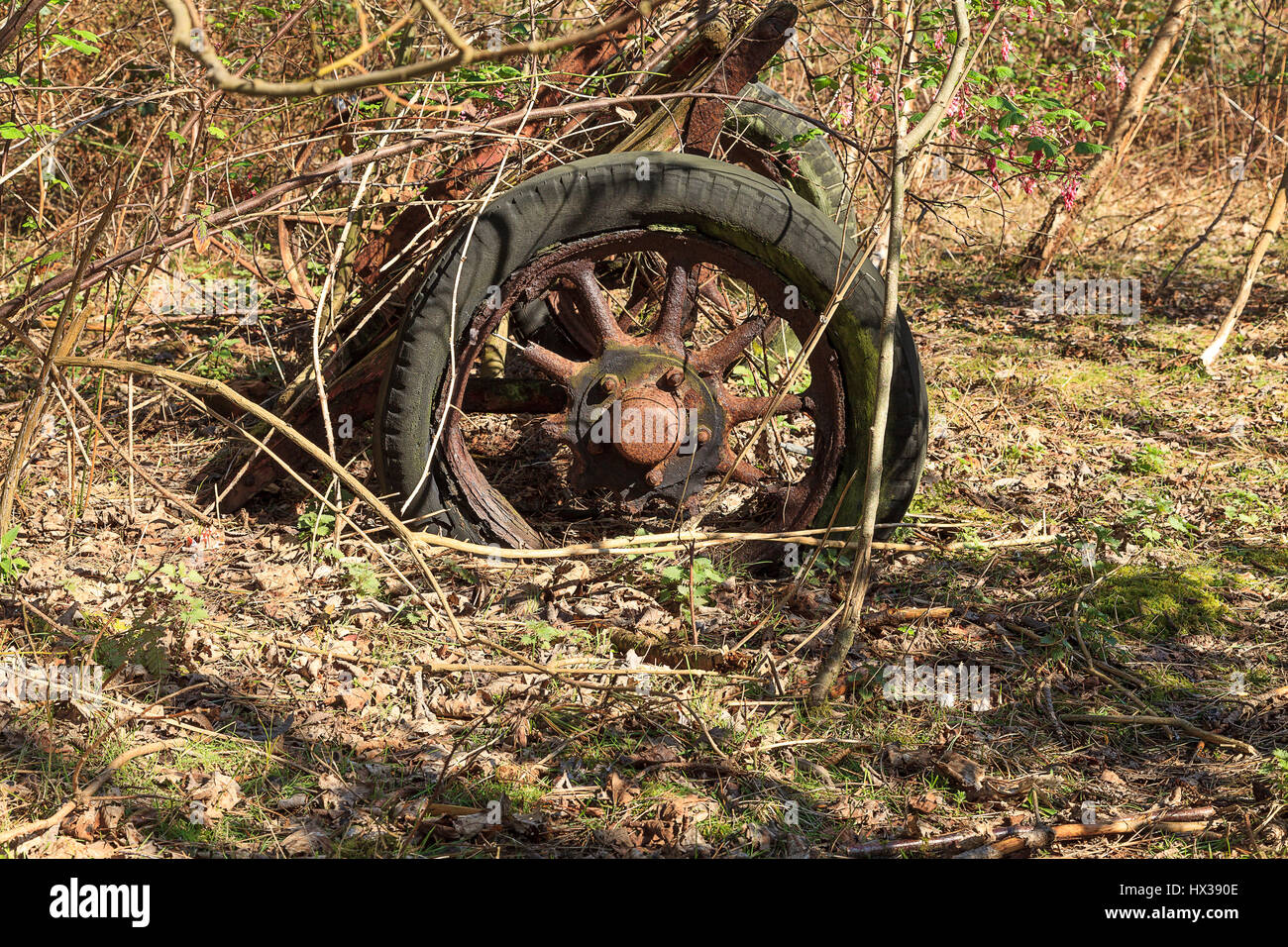 Image of abandoned trailer at Formby Red Squirrel Sanctury Stock Photo