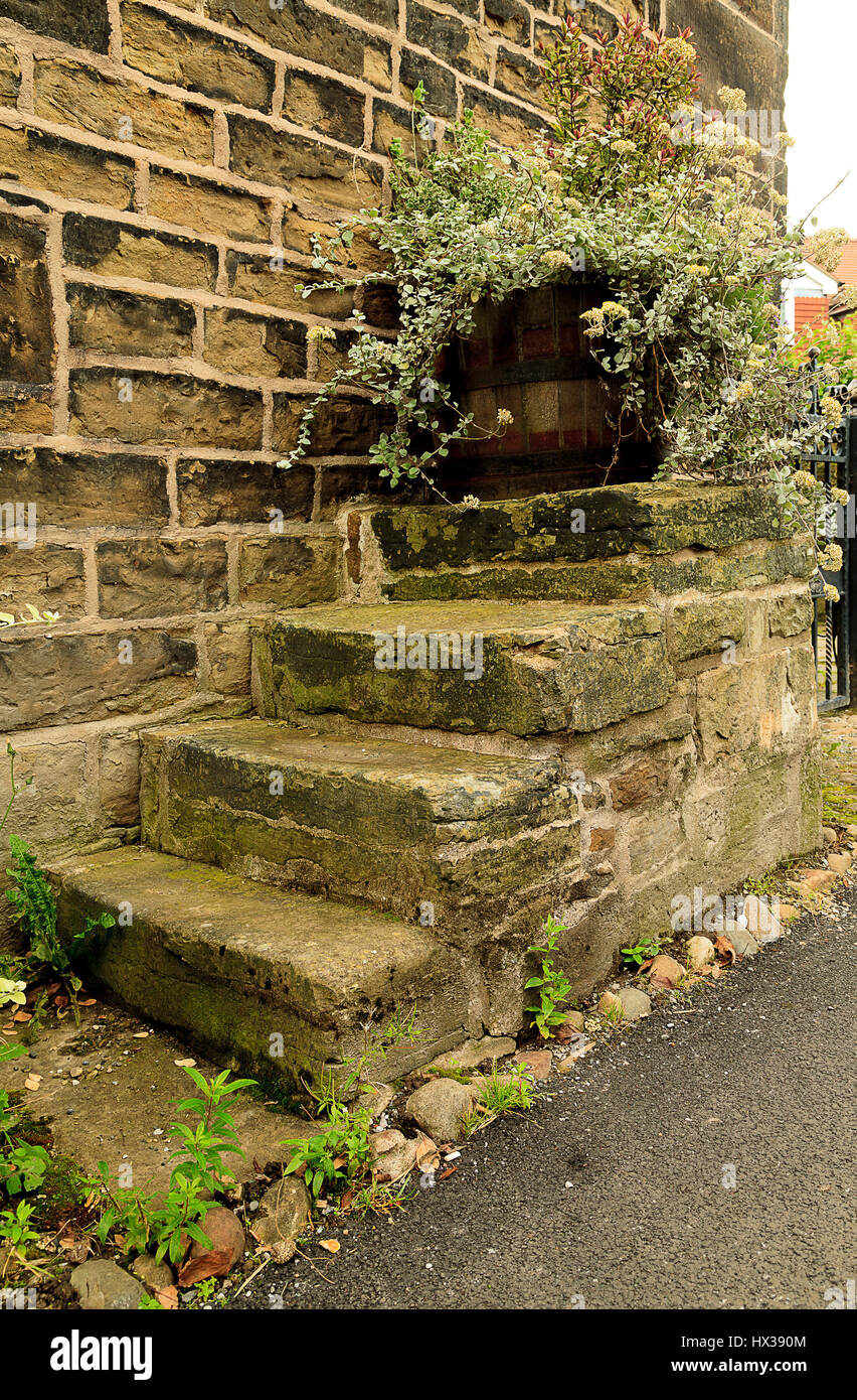 Stone steps with Wooden planter Stock Photo