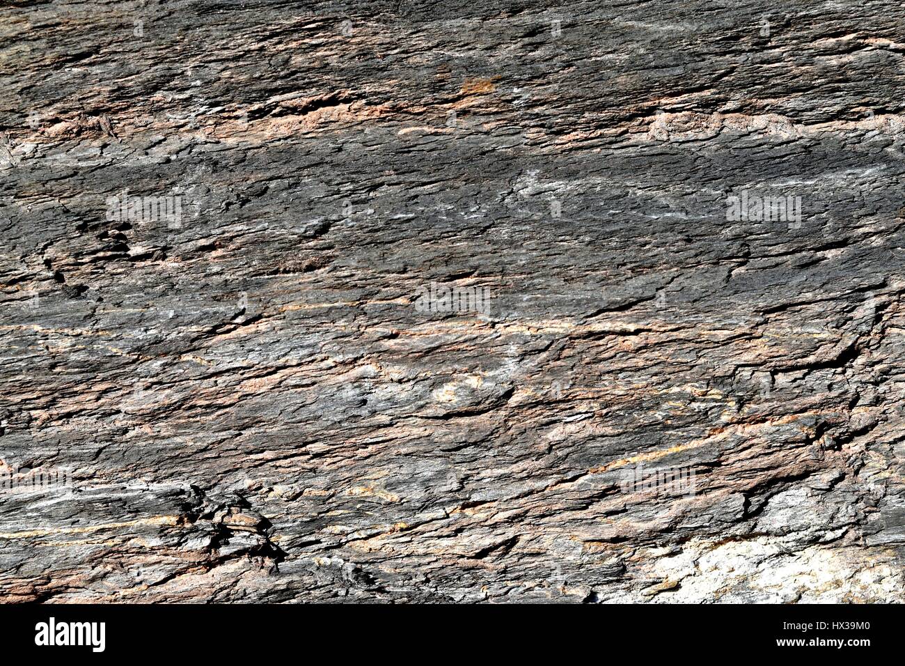 Cracked and weathered shale with calcite streaks and iron staining. Stock Photo