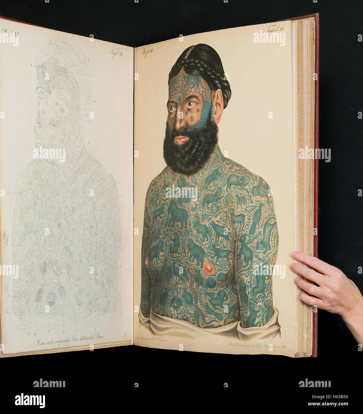 Open book showing a lithograph depicting a portrait of a Caucasian man with a full body tattoo, in Atlas der Hautkrankheiten by Ferdinand Ritter von Hebra (1816-1880), 1865. Courtesy National Library of Medicine. Stock Photo