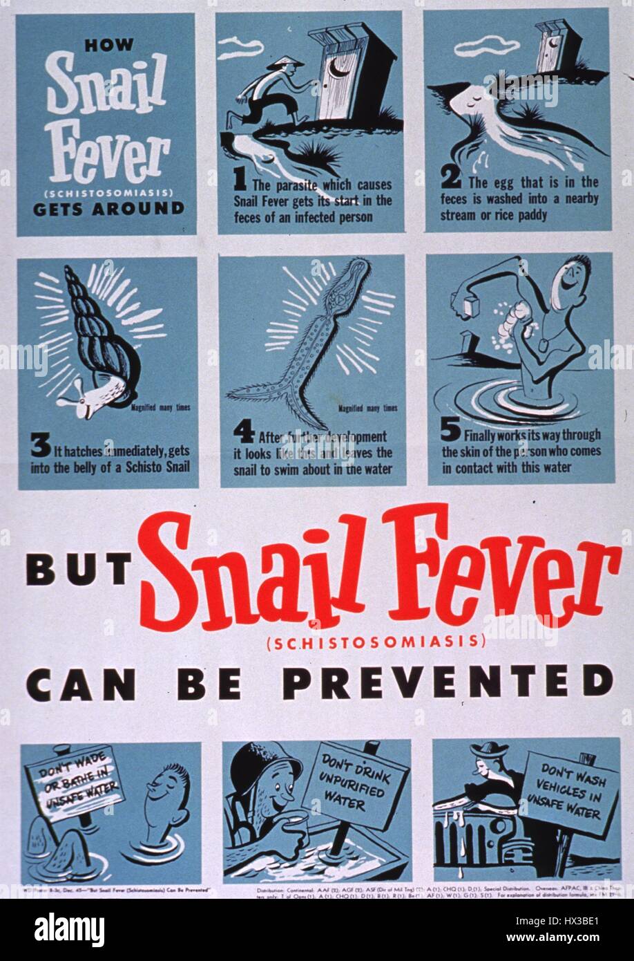 Government issued poster instructing soldiers to properly protect themselves from snail fever, 1945. Courtesy National Library of Medicine. Stock Photo