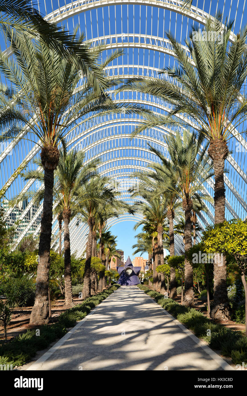 The City of Arts and Sciences, L' Umbracle, Valencia, Spain Stock Photo ...