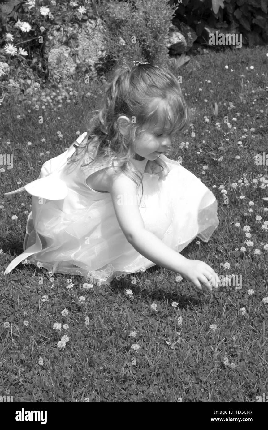 Young Bridesmaid picking daisies off the lawn Stock Photo