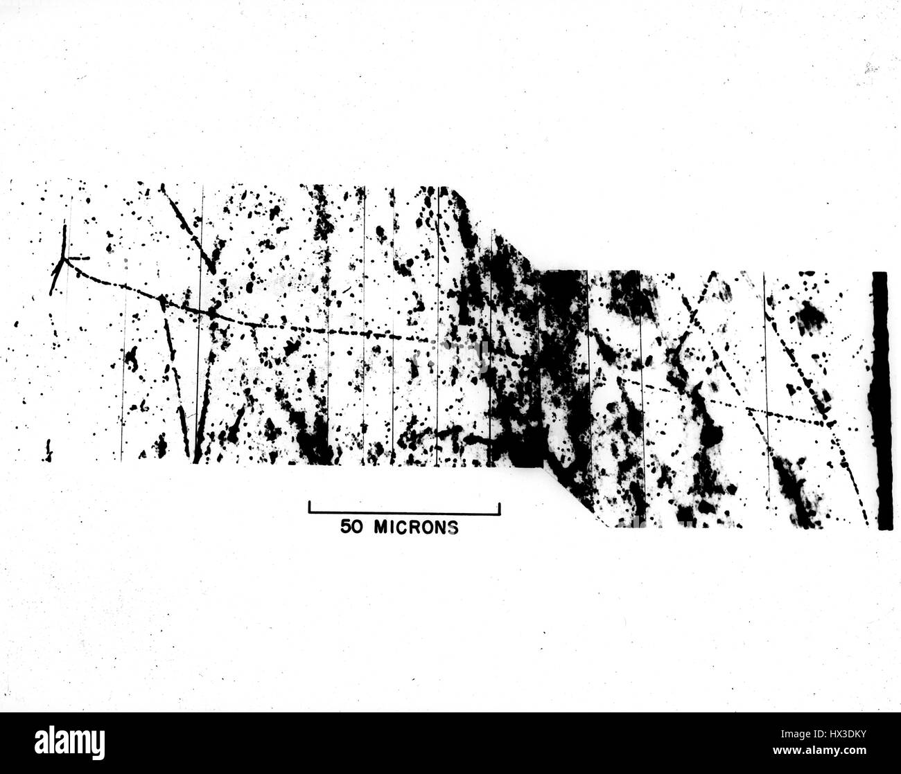 Photomicrograph of the path of a meson, 1970. Image courtesy US Department of Energy. Stock Photo