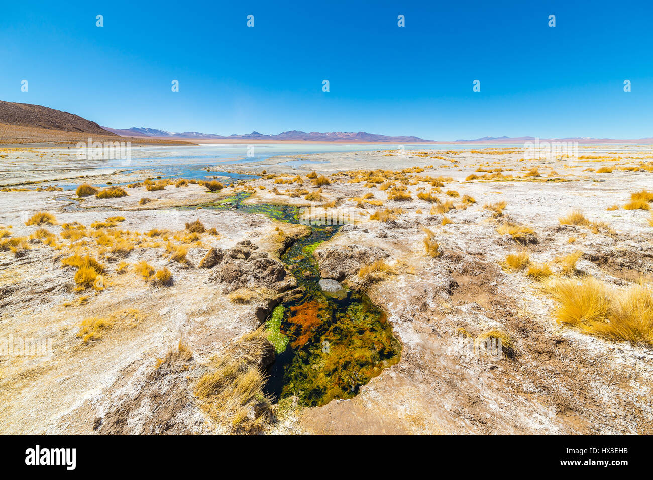 Colorful hot spring with deposits of minerals and algae on the Andean Highlands, Bolivia. Salt lake, mountain range and volcanos in the background on Stock Photo