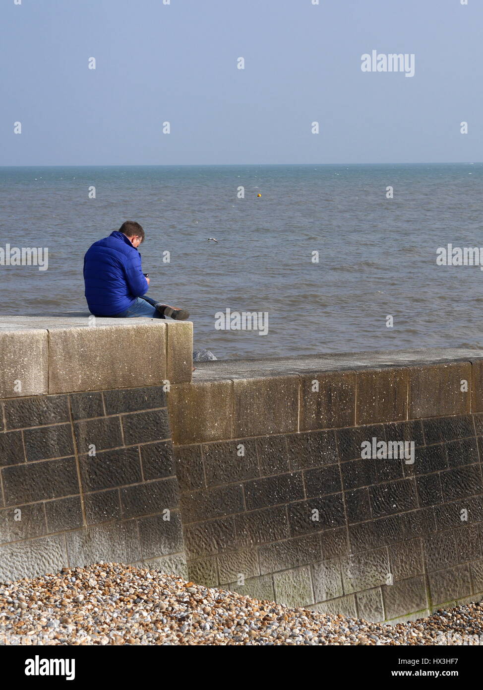 Person looking out to sea Stock Photo Alamy