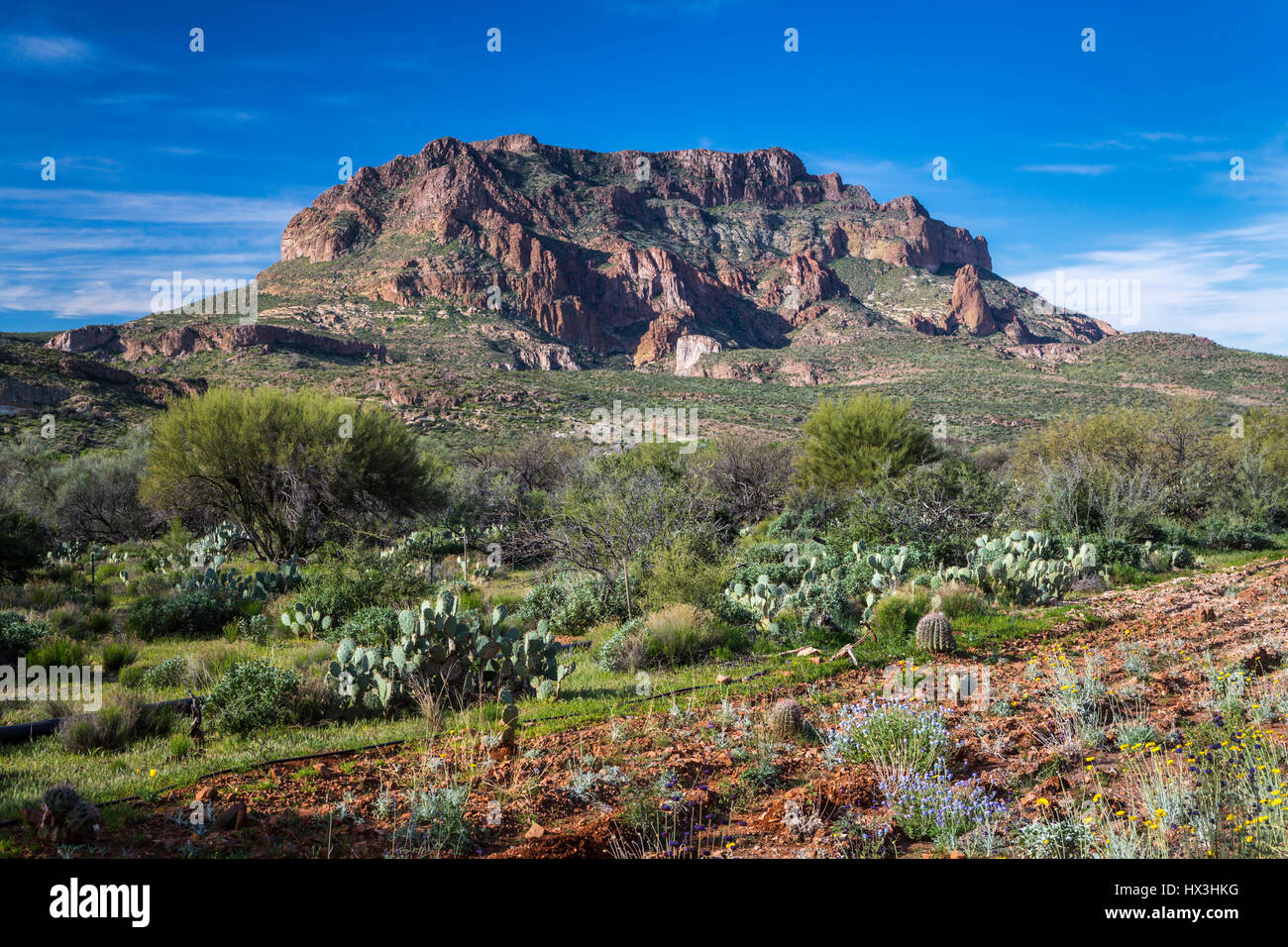 Picketpost Mountain near Superior, Arizona, USA Stock Photo Alamy