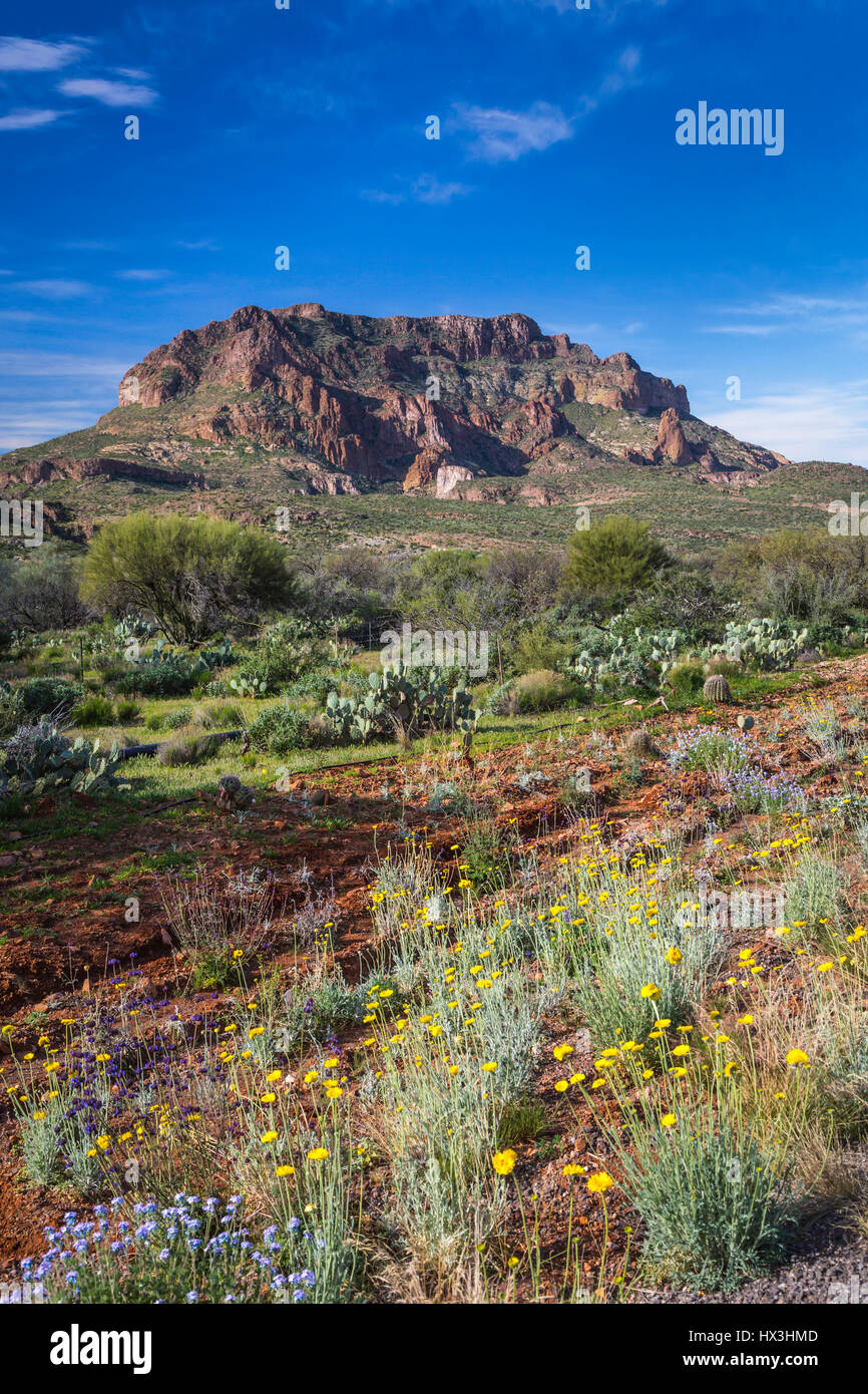 Picketpost Mountain near Superior, Arizona, USA Stock Photo Alamy