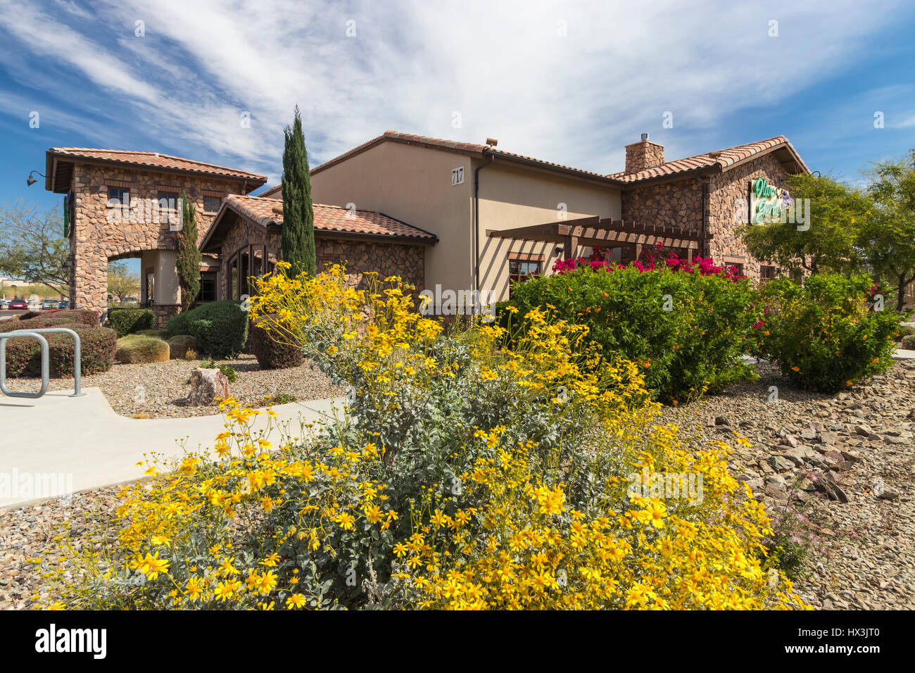 The Olive Garden restaurant in Casa Grande, Arizona, USA. Stock Photo