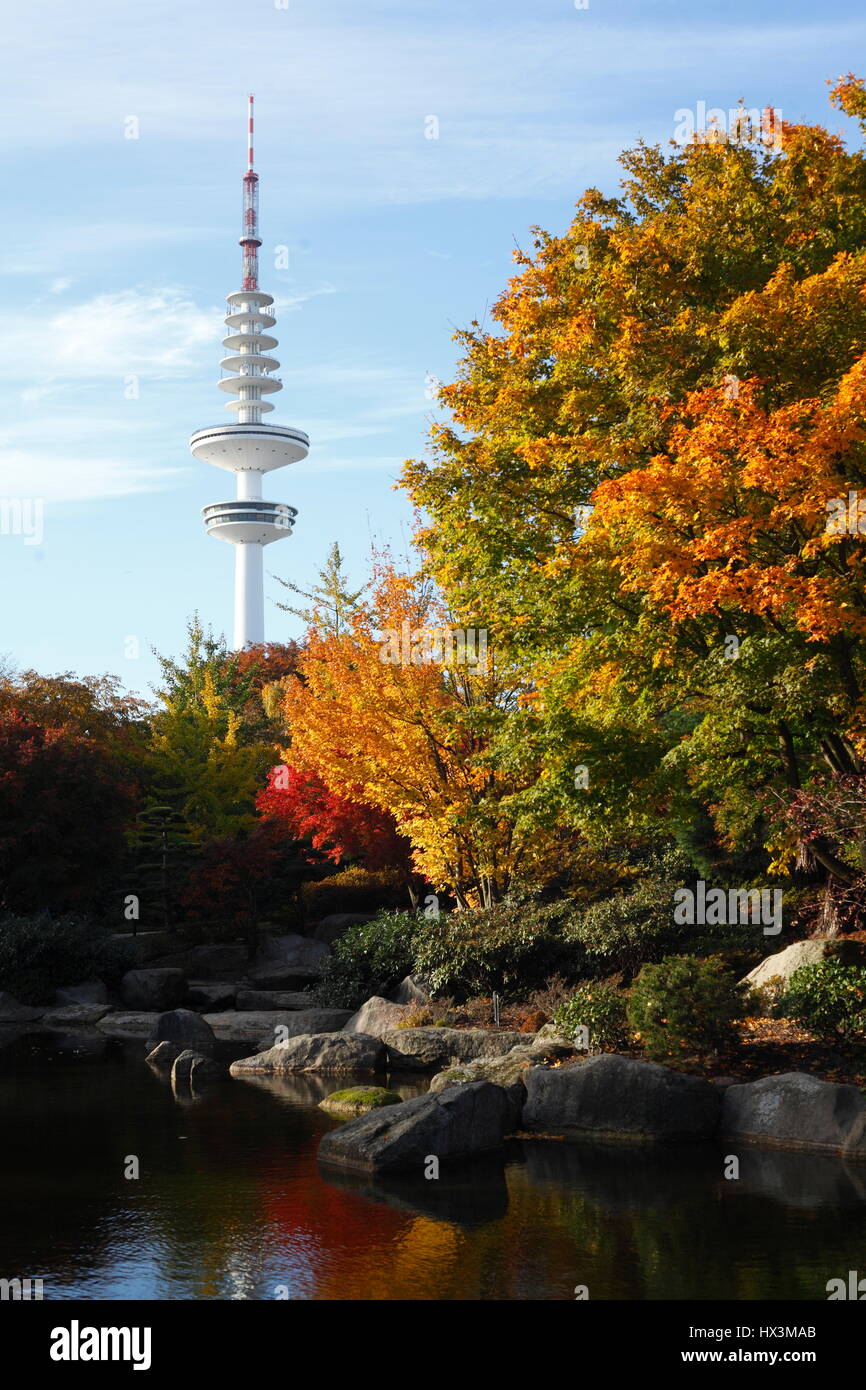 Hamburg  : Japanische Garten mit Fernsehturm im Herbst  I Japanese Garden in Autumn, Hamburg, Germany, Europe Stock Photo