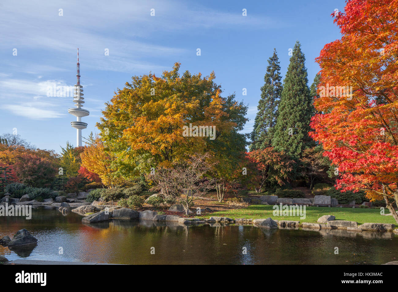 Hamburg  : Japanische Garten mit Fernsehturm im Herbst  I Japanese Garden in Autumn, Hamburg, Germany, Europe Stock Photo