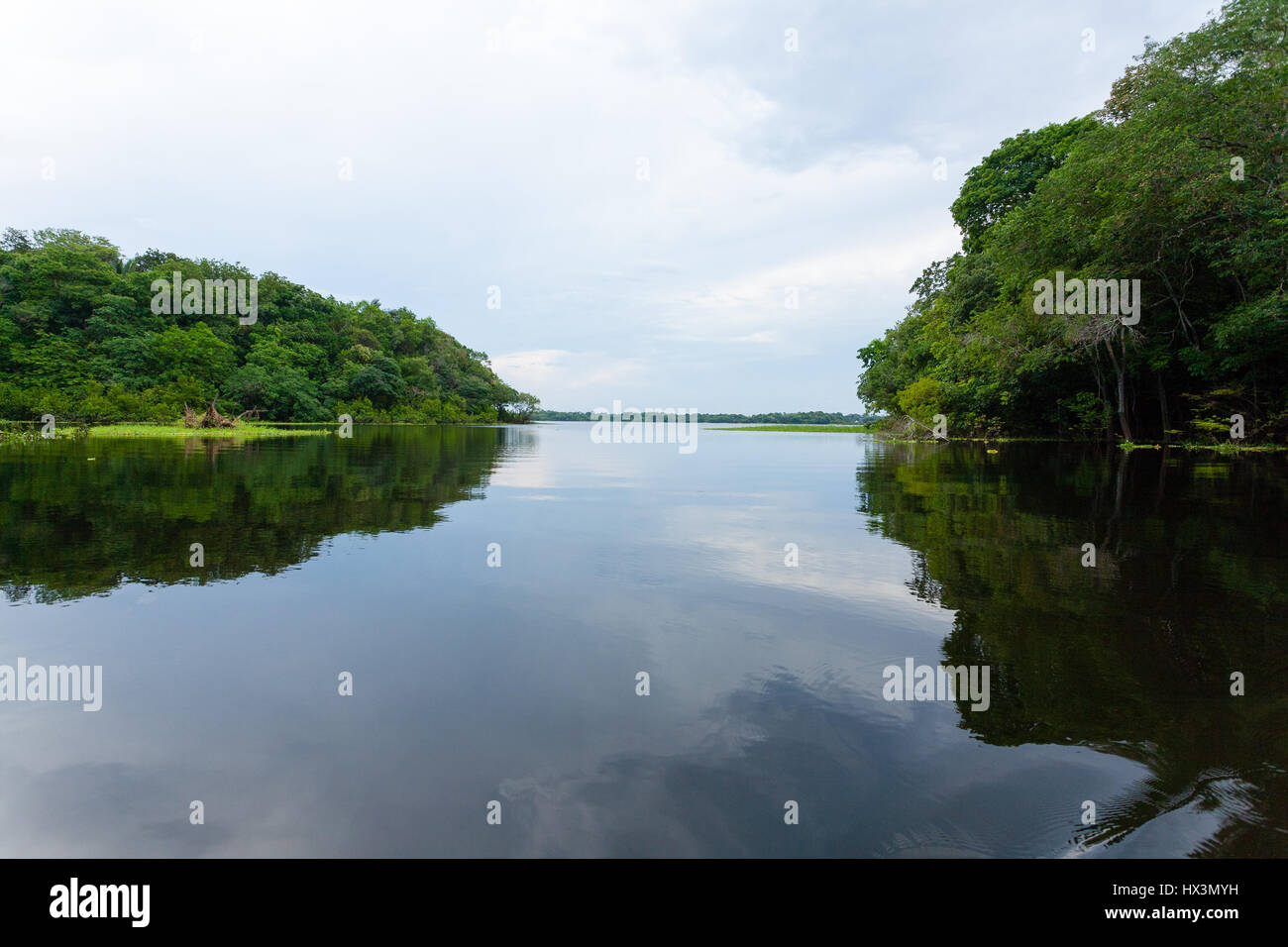 Panorama from Amazon rainforest, Brazilian wetland region. Navigable ...