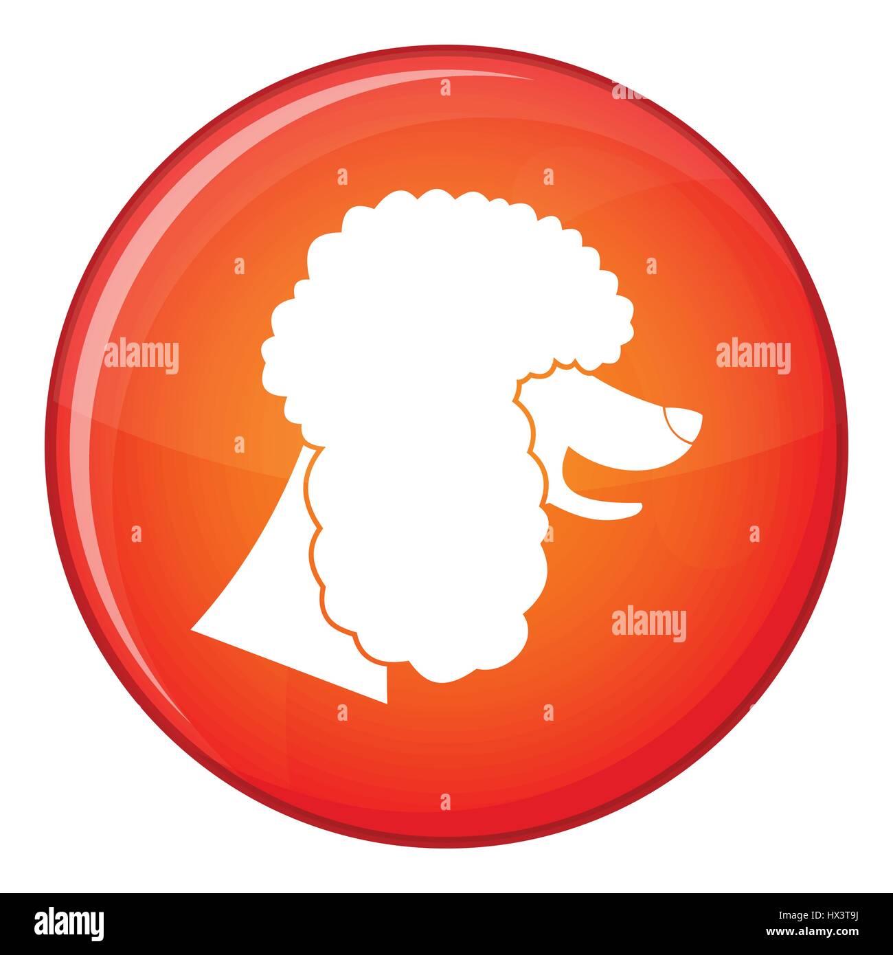 Poodle dog icon, flat style Stock Vector Image & Art - Alamy