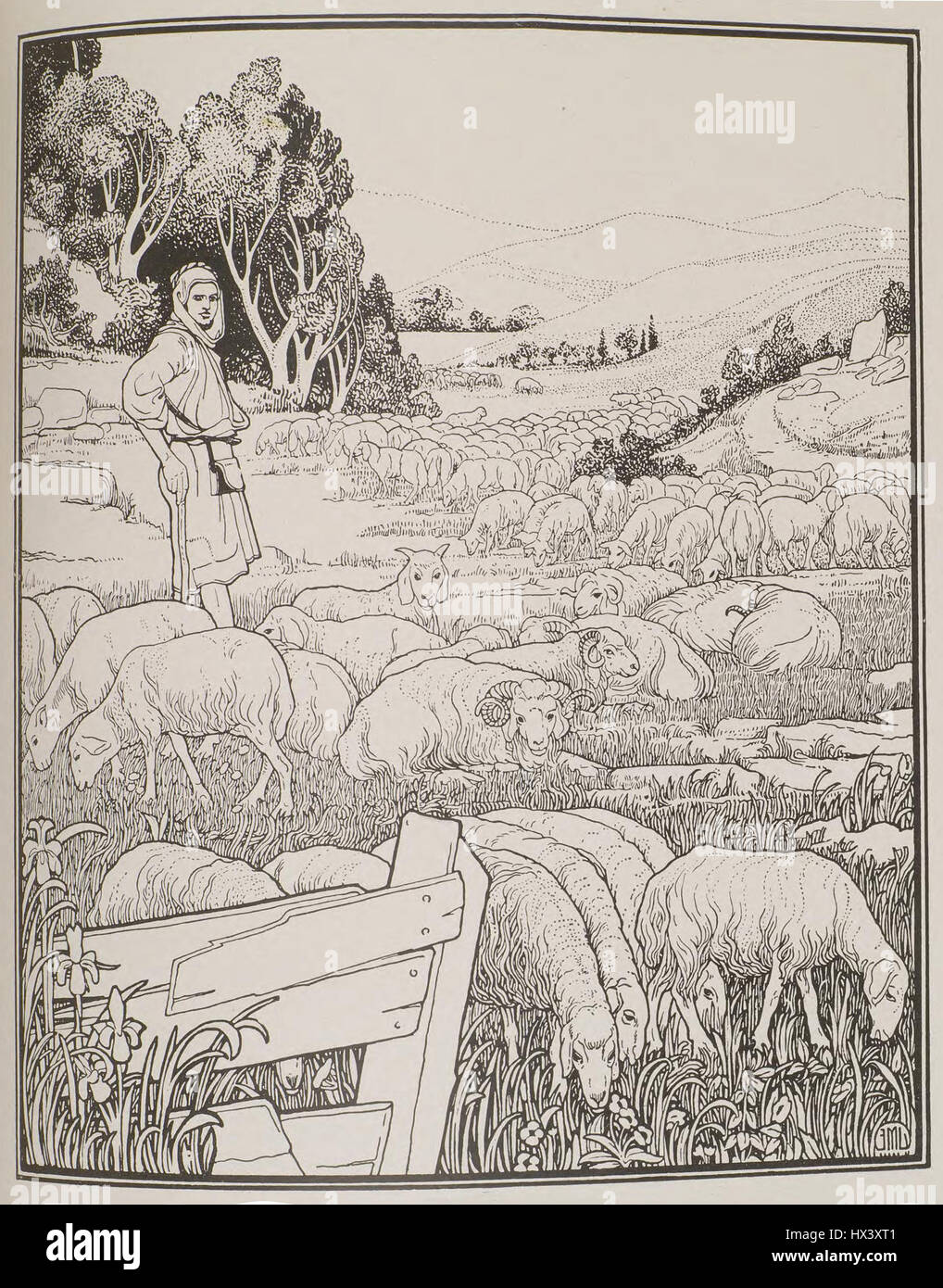 Hiobs Reichtum Stock Photo