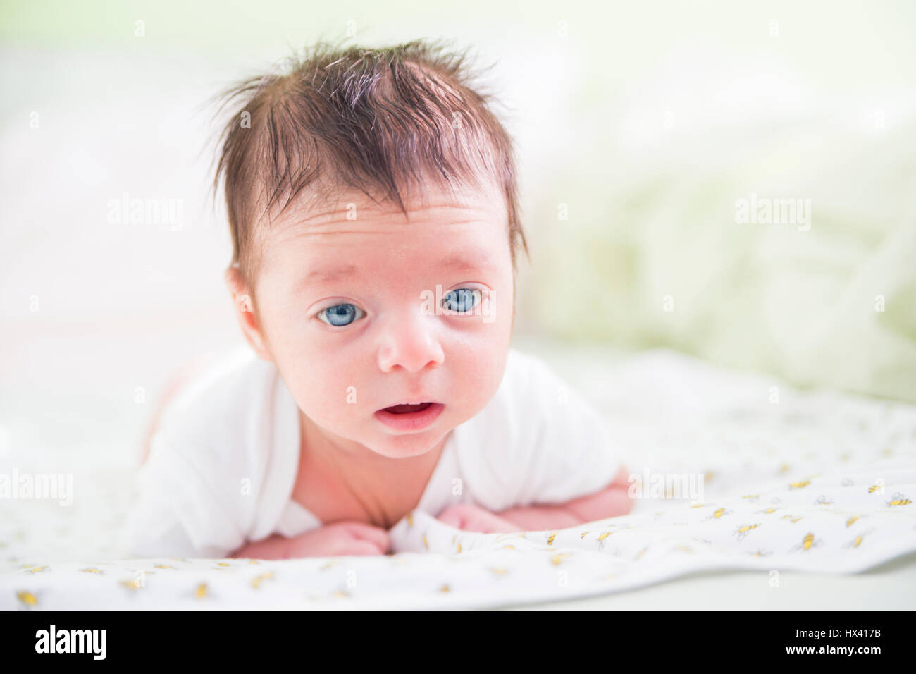 Cute Baby Boy Stock Photo Alamy