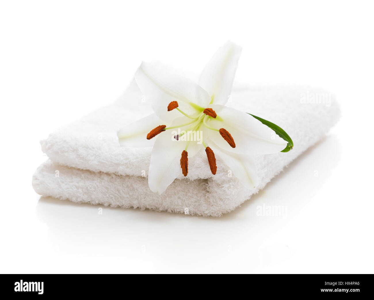 Flower white Lily lying on a white towel Stock Photo