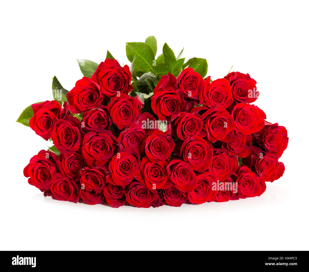 Bouquet of red roses on white background Stock Photo - Alamy