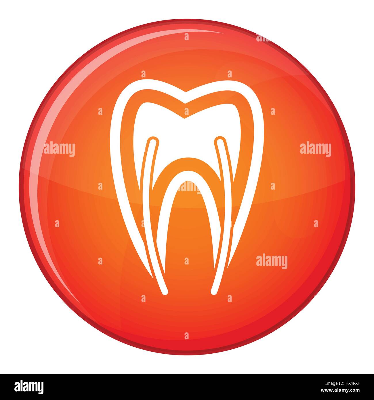 Tooth cross section icon, flat style Stock Vector Image & Art - Alamy