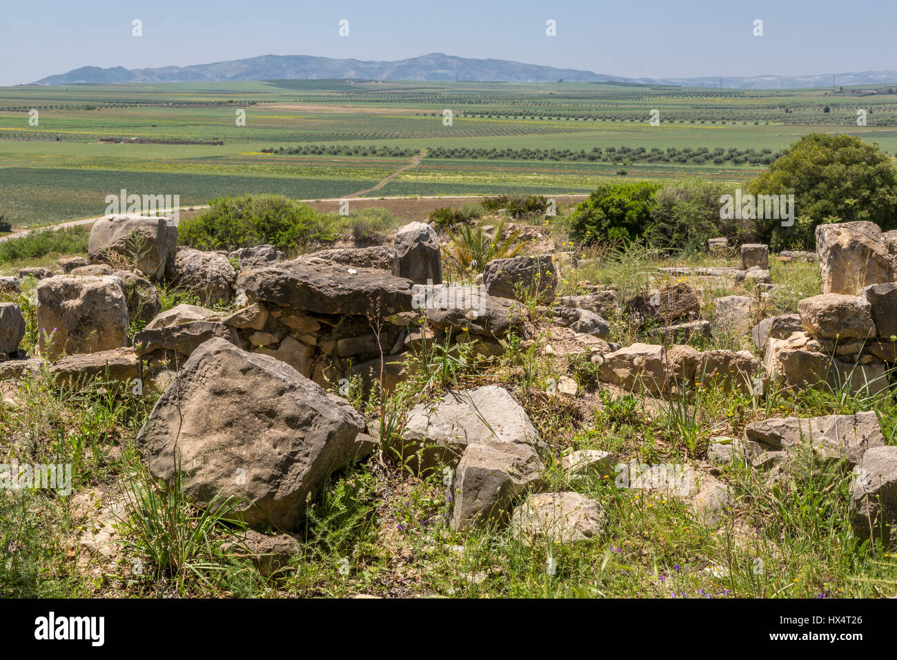 Volubilis, Morocco.  Stones of Volubilis in Foreground, Farmland in Background. Stock Photo