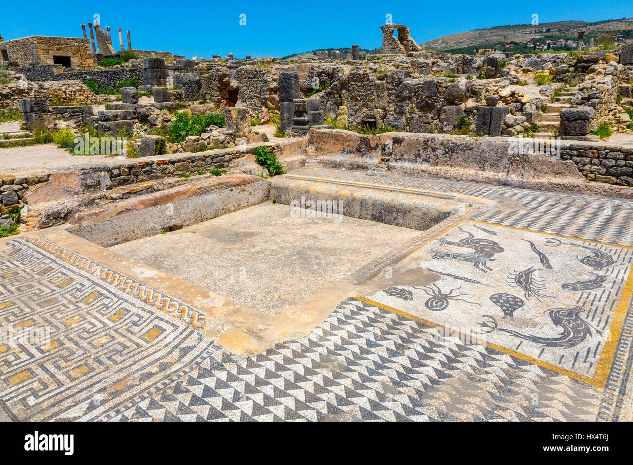 Volubilis, Morocco.  Mosaics in the House of Orpheus.  Sea Creatures on the Right. Stock Photo