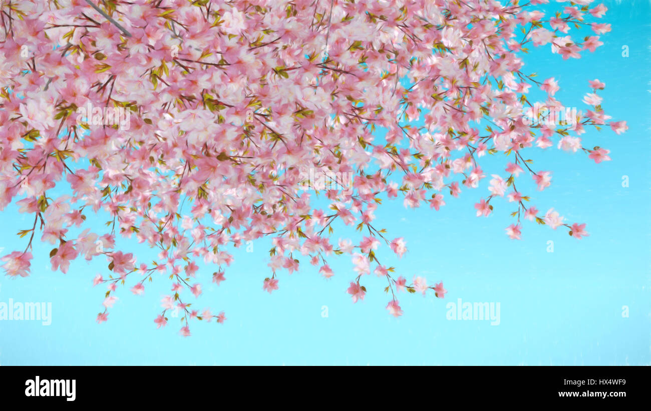 Painted abstract image of cherry blossom blue background Stock Photo