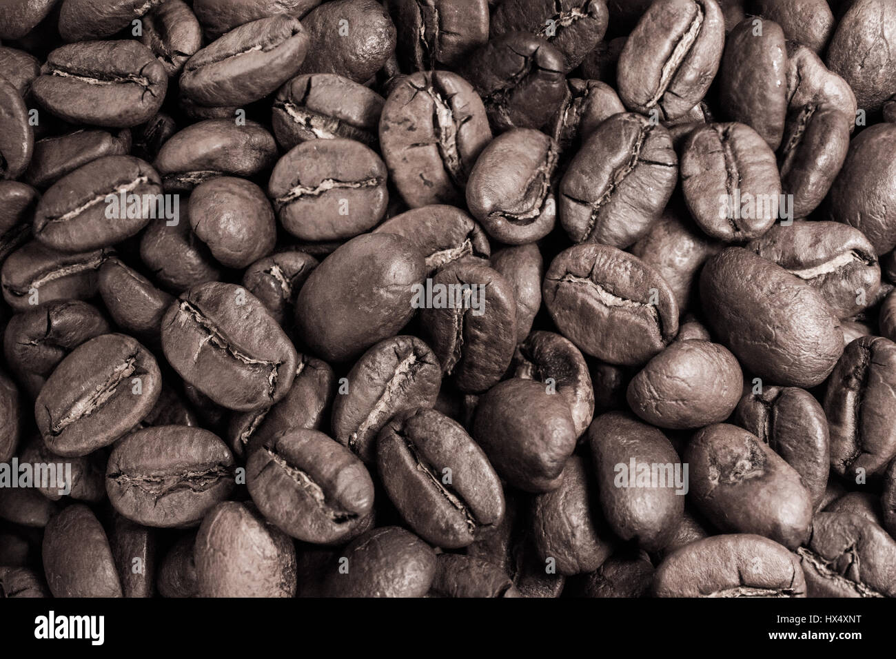 Roasted Coffee Beans Stock Photo Alamy