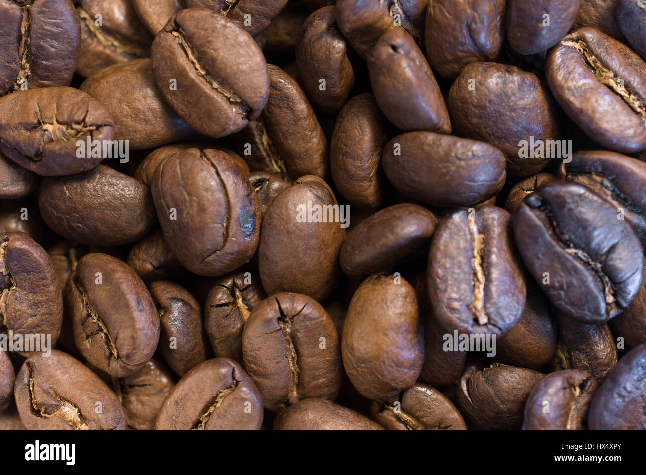 Light Roasted Coffee Beans Closeup Stock Photo Alamy