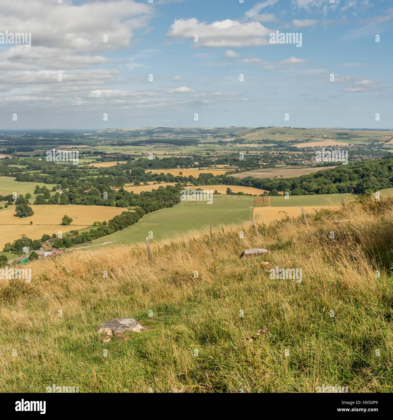 Looking east over the South Downs National Park from Chanctonbury Ring in West Sussex, England, UK. Stock Photo