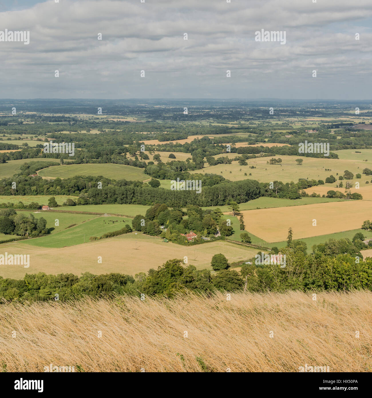 Looking east over the South Downs National Park from Chanctonbury Ring in West Sussex, England, UK. Stock Photo