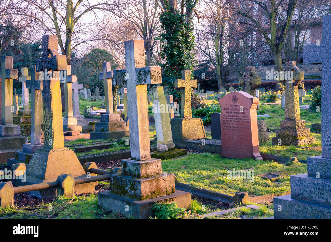 Headstones catch the last of the day's light Stock Photo