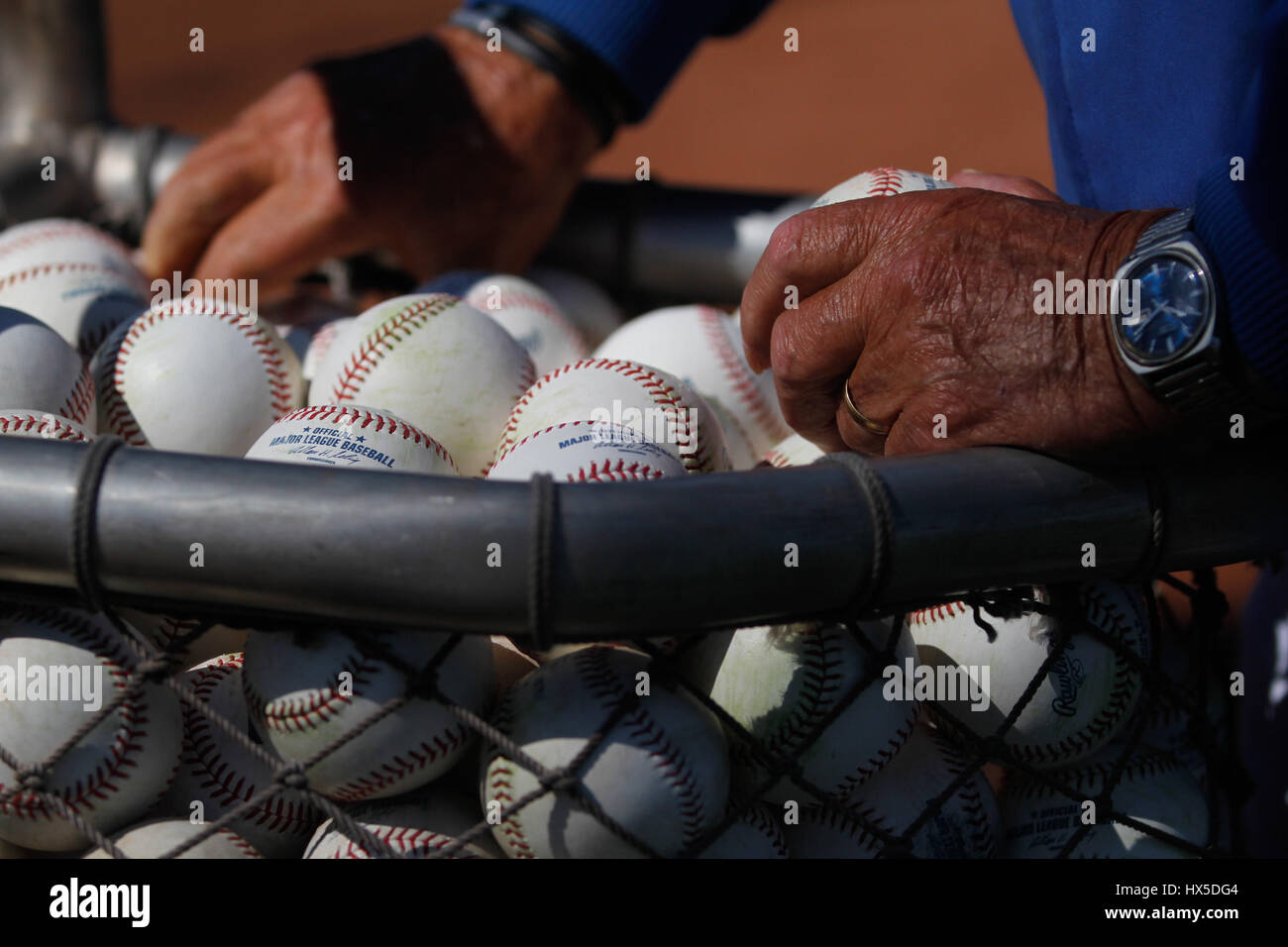 Baseball Balls of Major League Baseball in Training Royals of Kansas City r at the Surprise Recreation Complex of Arizona. Stock Photo