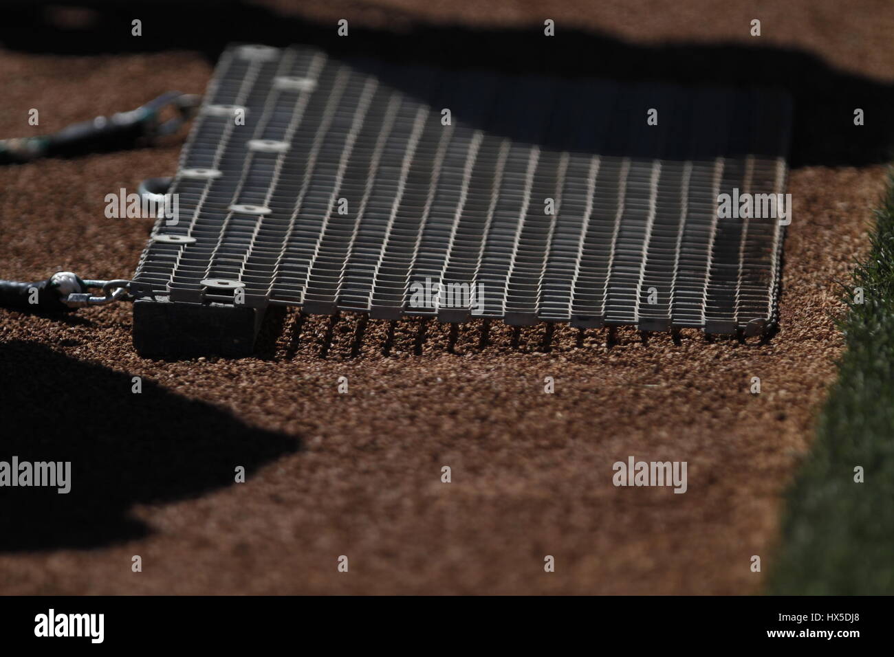 Arsilla hi-res stock photography and images - Alamy