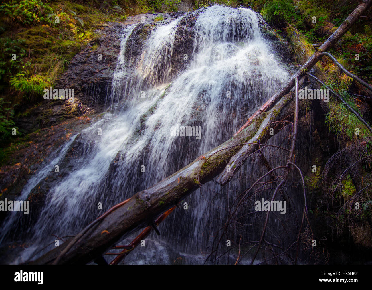 A beautiful waterfall in Moren State Park on Orcas Island, San Juan Islands, Washington State, USA. Stock Photo