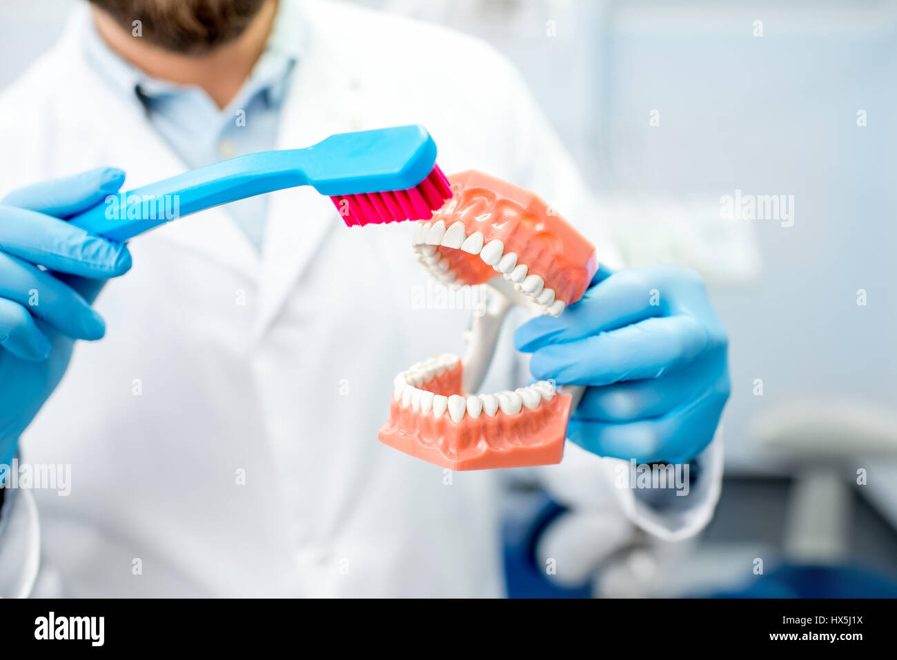 Dentist showing how to brush teeth on artificial jaw at the dental