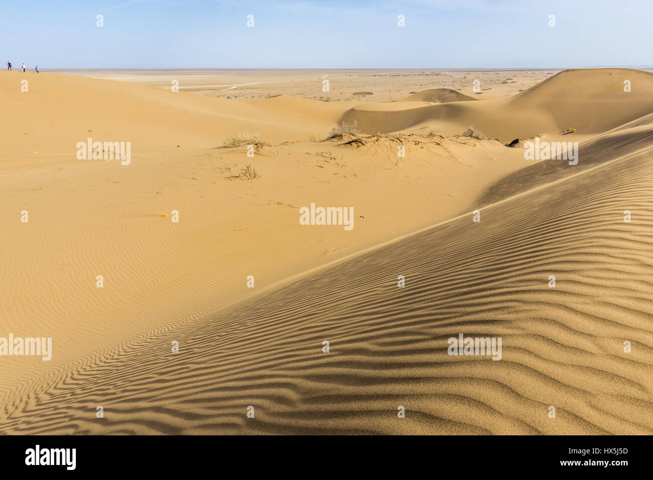 Ripple marks on a dune on Maranjab Desert located in Aran va bidgol County in Iran Stock Photo